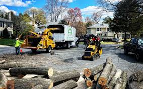 Best Lawn Maintenance Plans  in Greenwood, IN