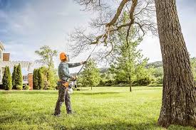Best Lot and Land Clearing  in Greenwood, IN