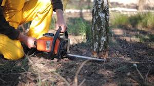 Greenwood, IN Tree Services Pros